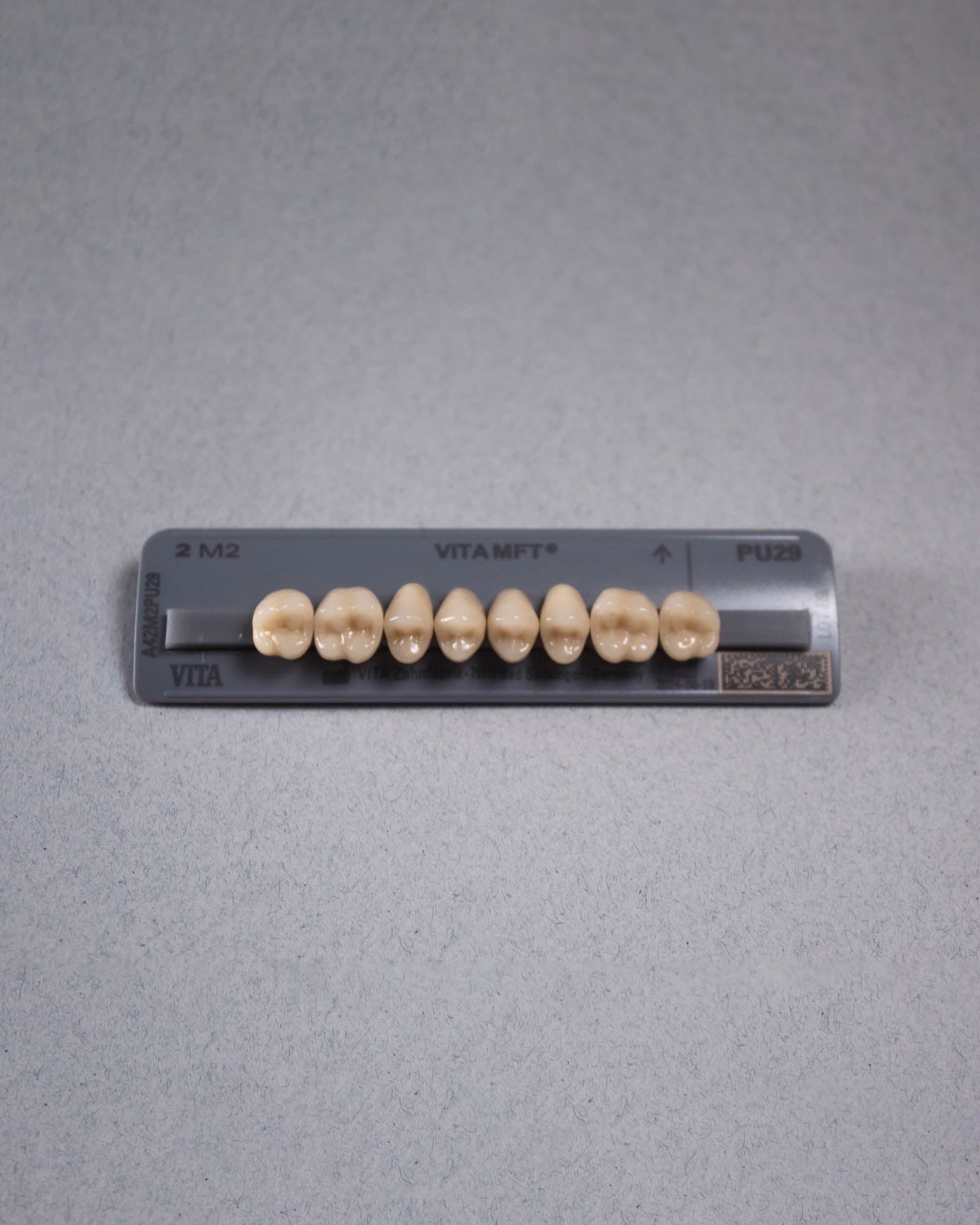 MFT | Posteriores Superiores