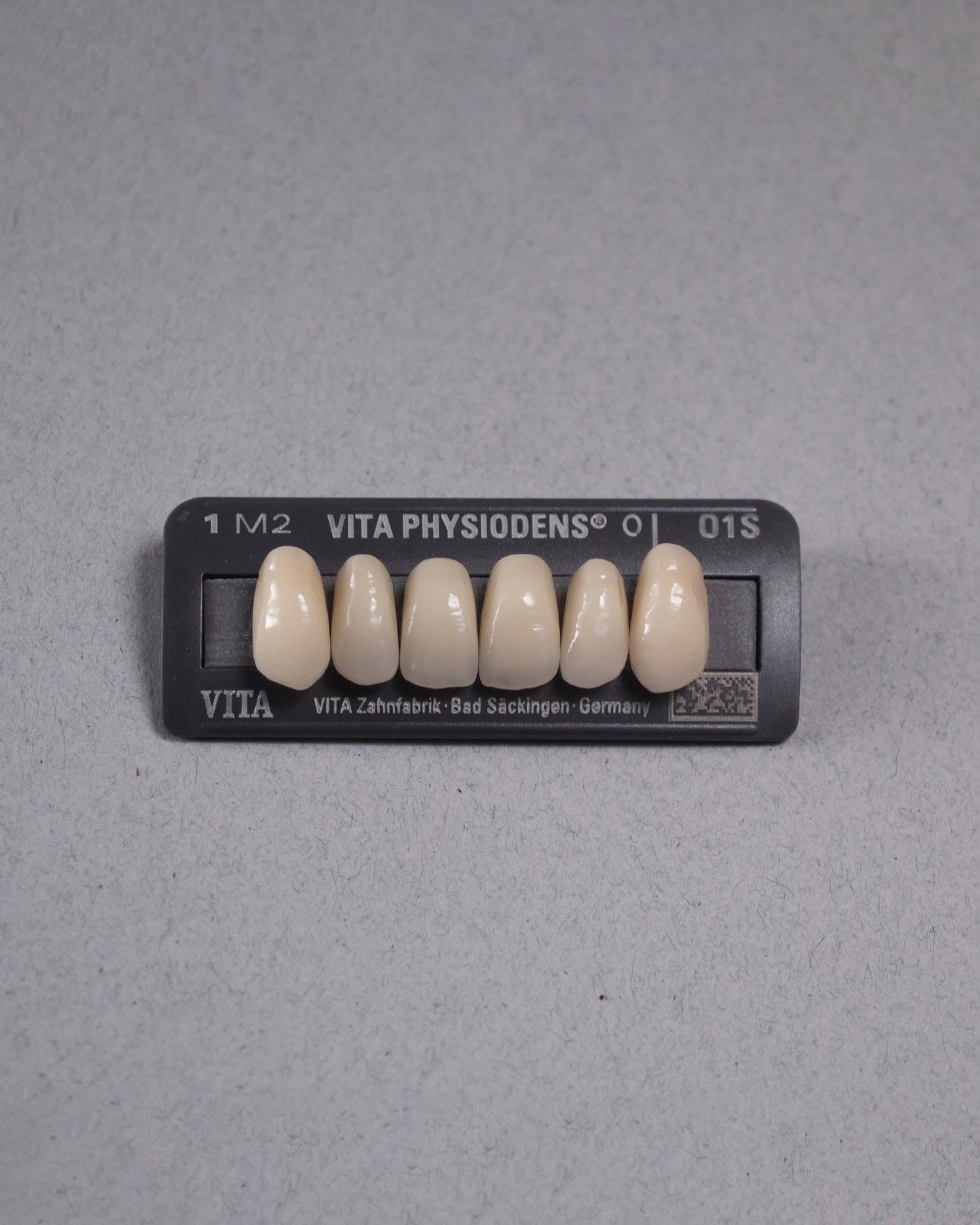 Physiodens | Anteriores Superiores Ovalados (42-47mm)