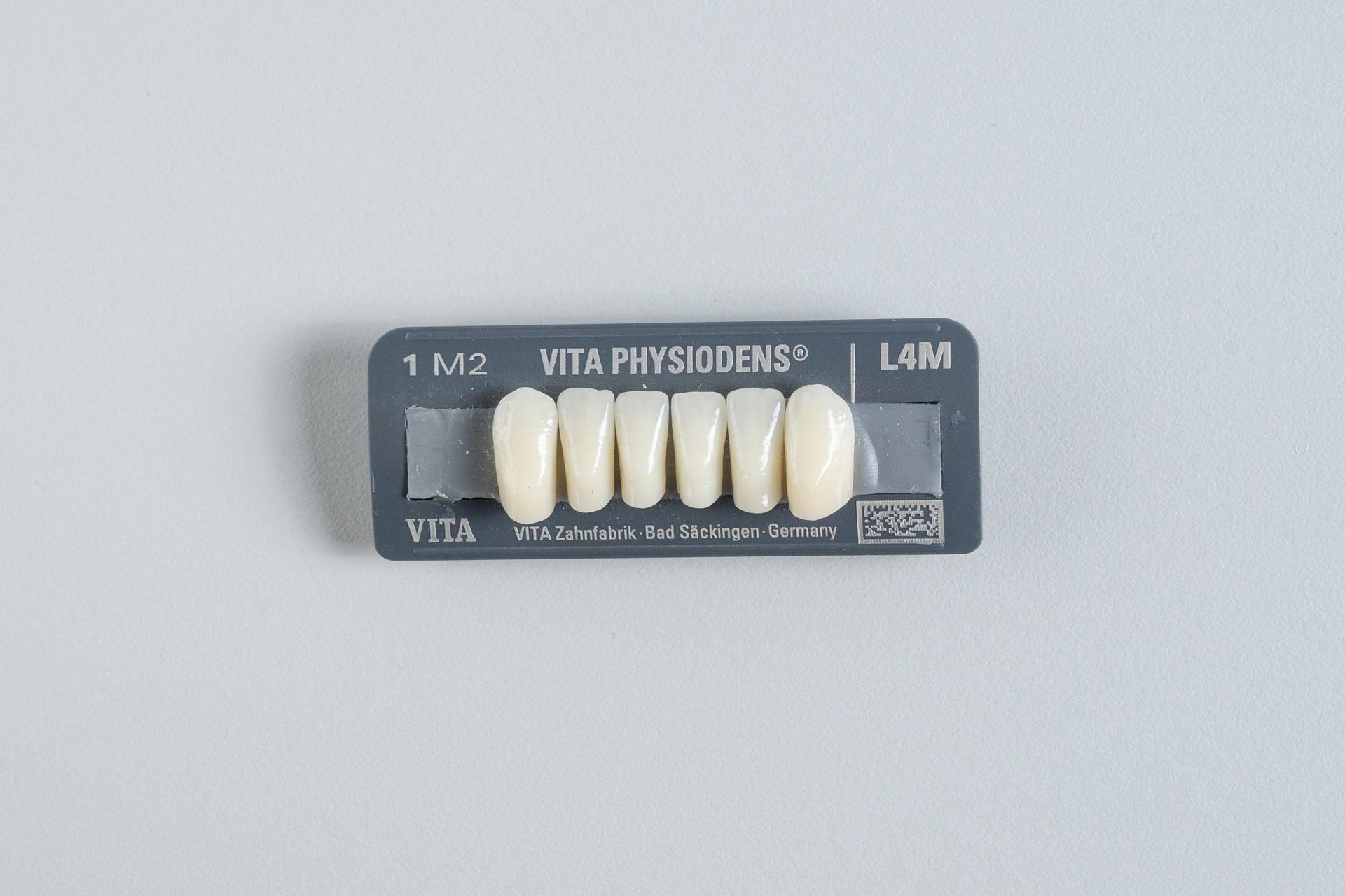 Physiodens | Anteriores Inferiores (33-36mm)