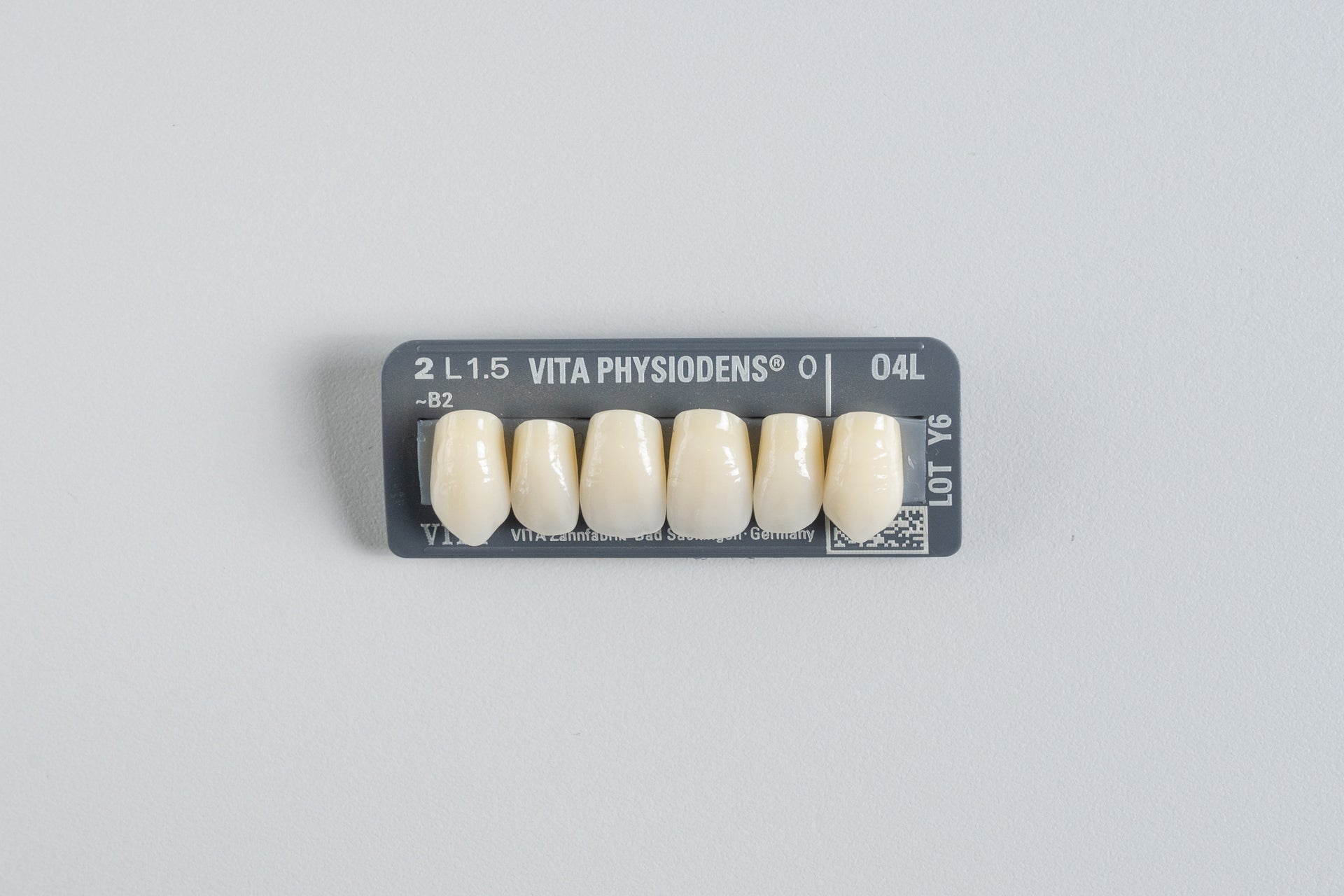 Physiodens | Anteriores Superiores Ovalados (49 - 51mm)