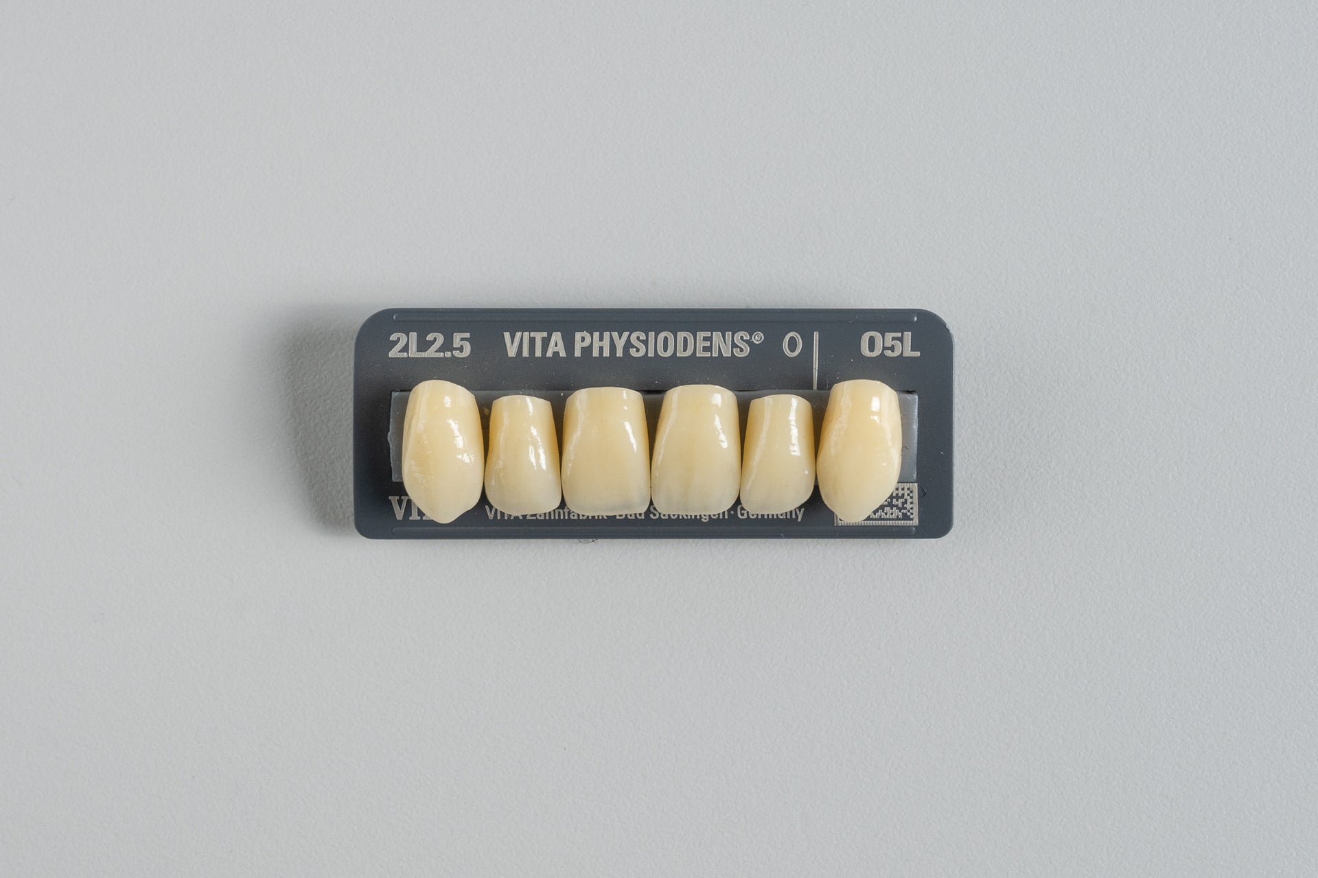 Physiodens | Anteriores Superiores Ovalados (49 - 51mm)