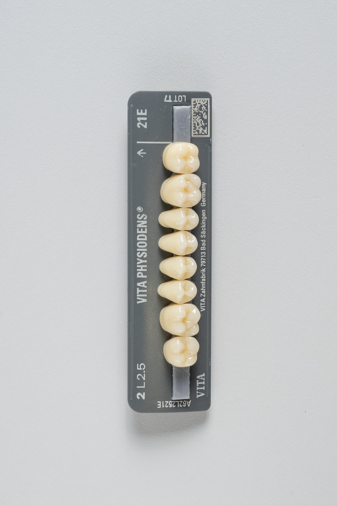 Physiodens | Posteriores Superiores