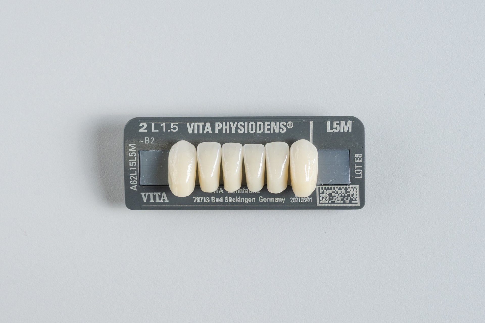 Physiodens | Anteriores Inferiores (37-43mm)