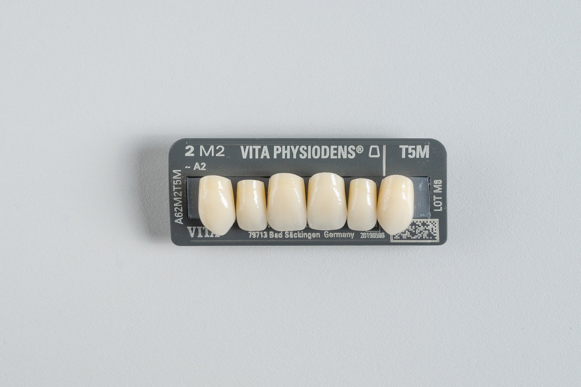 Physiodens | Anteriores Superiores Triangulares (47 - 50mm)